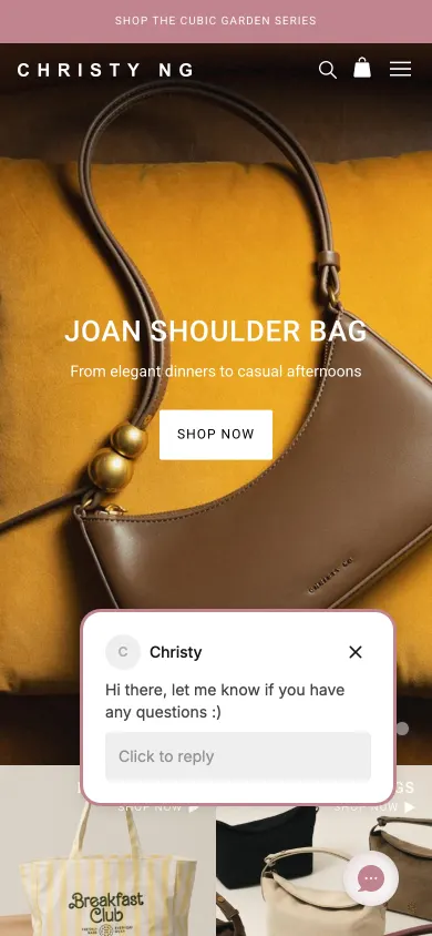 Christy Ng store on mobile